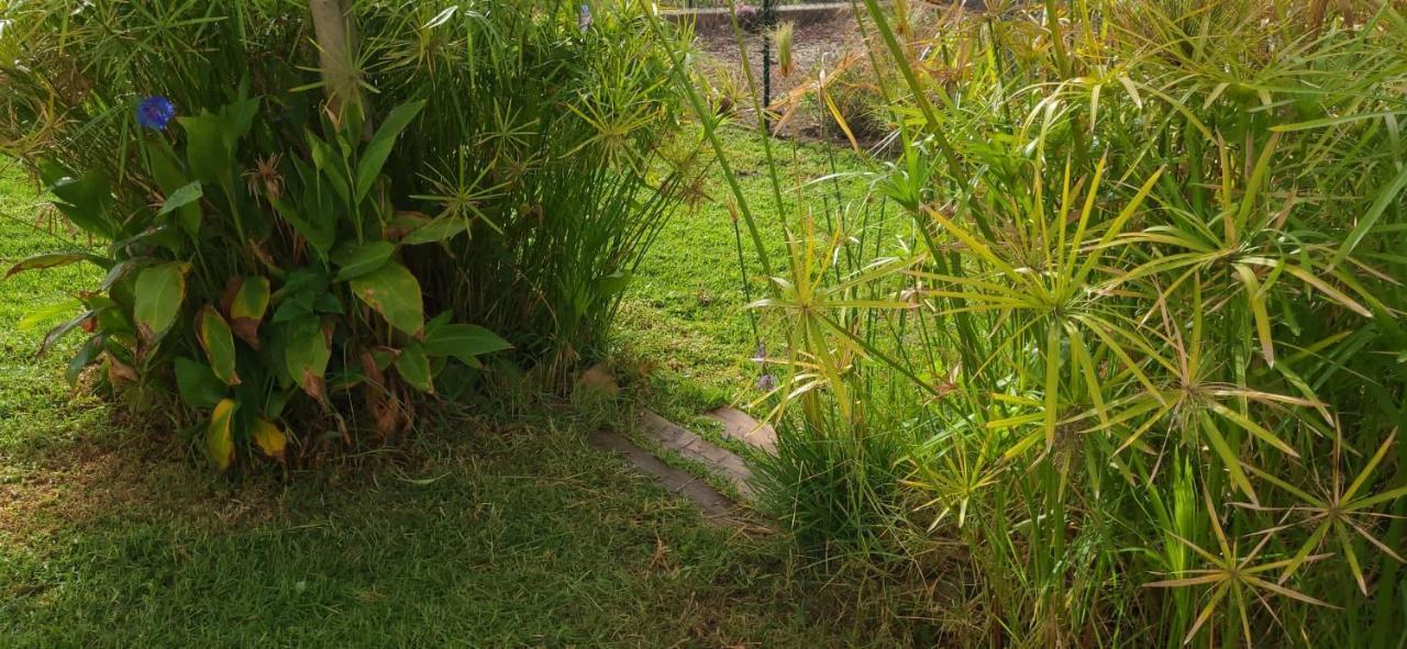 Holiday home Rancho Blanco La Pena *